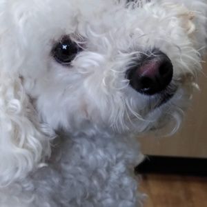 Meet your Posher, Leanne